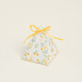 Beauty Home ΤΡΙΓΩΝΟ ΚΟΥΤΑΚΙ ΛΕΜΟΝΙΑ ΜΕ ΚΟΡΔΕΛΑ  8