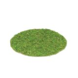 Beauty Home ΣΟΥΠΛΑ GREENERY 35 cm