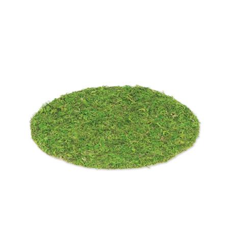 Beauty Home ΣΟΥΠΛΑ GREENERY 35 cm