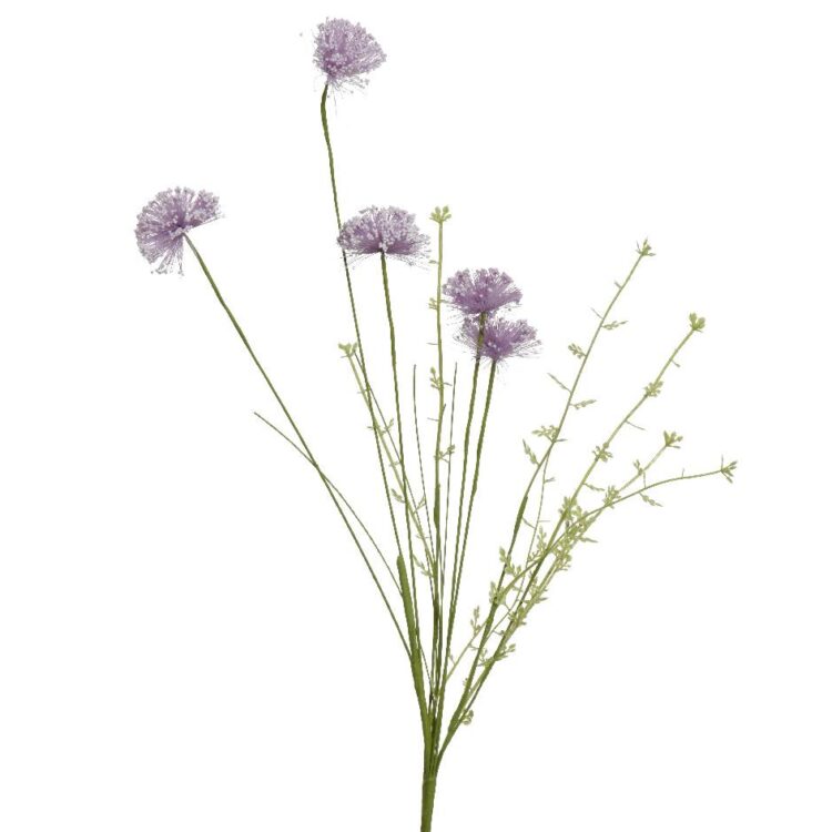 Beauty Home ΛΟΥΛΟΥΔΙ  60cm