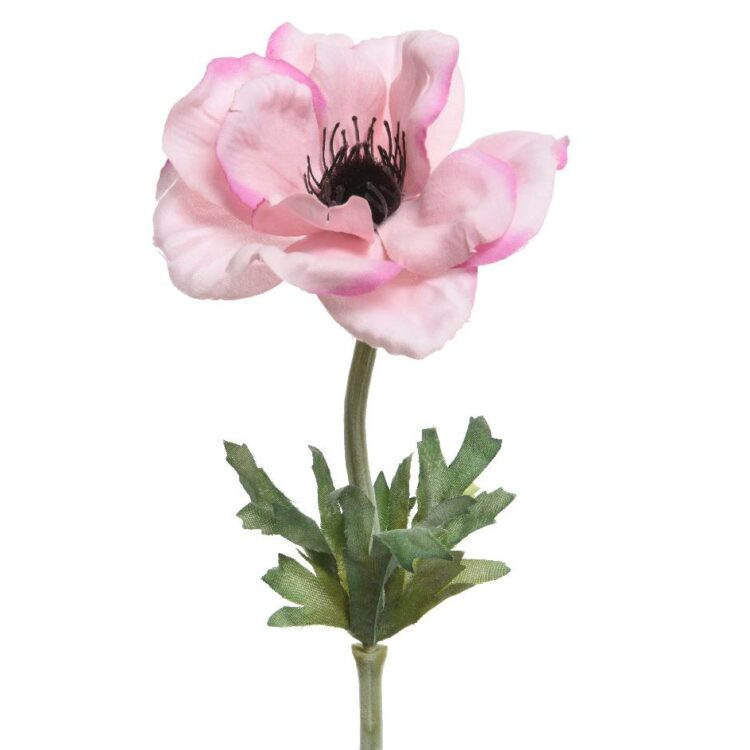 Beauty Home ΑΝΑΕΜΩΝΗ 57 CM