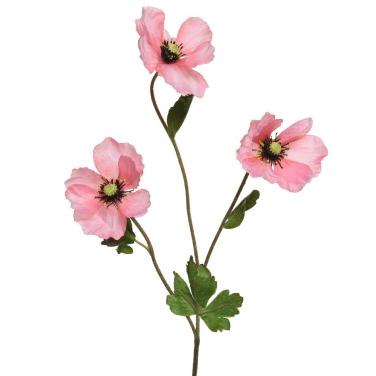 Beauty Home ΠΑΠΑΡΟΥΝΑ ΡΟΖ 71 CM