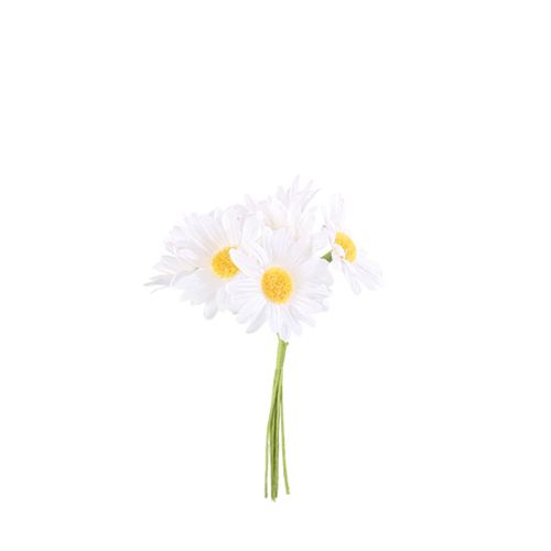 Beauty Home ΜΑΡΓΑΡΙΤΕΣ 6 ΤΜΧ 4