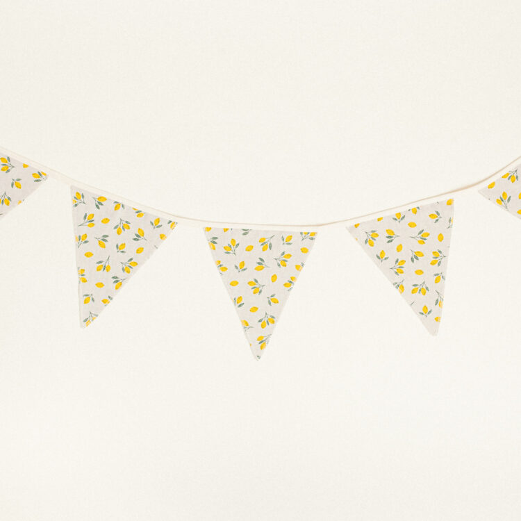 Beauty Home ΣΗΜΑΙΑΚΙΑ ΔΙΑΚΟΣΜΗΣΗΣ 20 x 18 x 260 cm ΜΙΚΡΑ ΛΕΜΟΝΙΑ