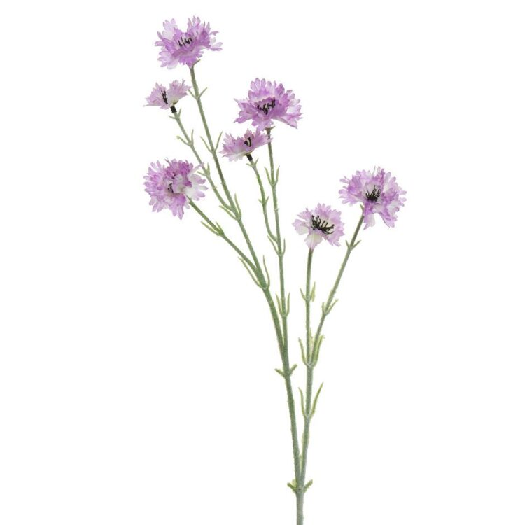 Beauty Home ΛΟΥΛΟΥΔΙ 68 CM