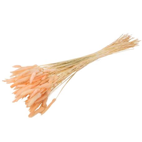 Beauty Home ΓΑΤΑΚΙΑ LAGURUS ΡΟΖ 75CM 50ΤΜΧ