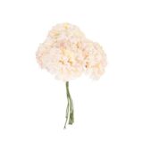 Beauty Home 6 ΟΡΤΑΝΣΙΕΣ 10cm