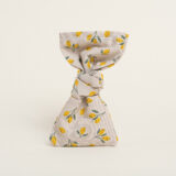 Beauty Home ΜΑΚΡΟΣΤΕΝΟ LARGE  12 x 38 cm  ΜΙΚΡΑ ΛΕΜΟΝΙΑ