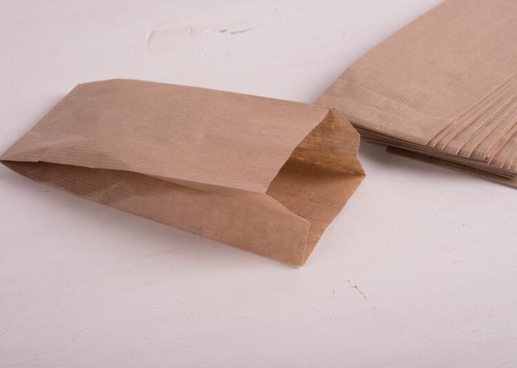 Beauty Home ΧΑΡΤΟΣΑΚΟΥΛΕΣ CRAFT – ΛΕΥΚΟ ΣΥΣΚΕΥΑΣΙΑ 100τεμ. 10*27