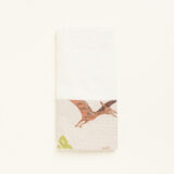 Beauty Home ΠΕΤΣΕΤΑ 30 x 50 cm ΕΙΔΗ ΔΕΙΝΟΣΑΥΡΩΝ