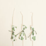 Beauty Home ΚΕΡΑΚΙΑ ΚΟΛΥΜΒΗΘΡΑΣ ΚΙΣΣΟΣ ΜΕ ΟΨΗ ΑΚΟΥΑΡΕΛΑΣ