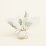 Beauty Home ΜΑΝΤΗΛΙ 27 x 27 cm ΠΟΠΛΙΝΑ ΕΥΚΑΛΥΠΤΟΣ