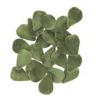 Beauty Home 60 Πράσινα Βελούδινα Πέταλα με Χρυσό Γκλίτερ