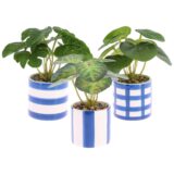 Beauty Home Τεχνητό φυτό σε κεραμική γλάστρα – Μπλε λευκή  Ø7