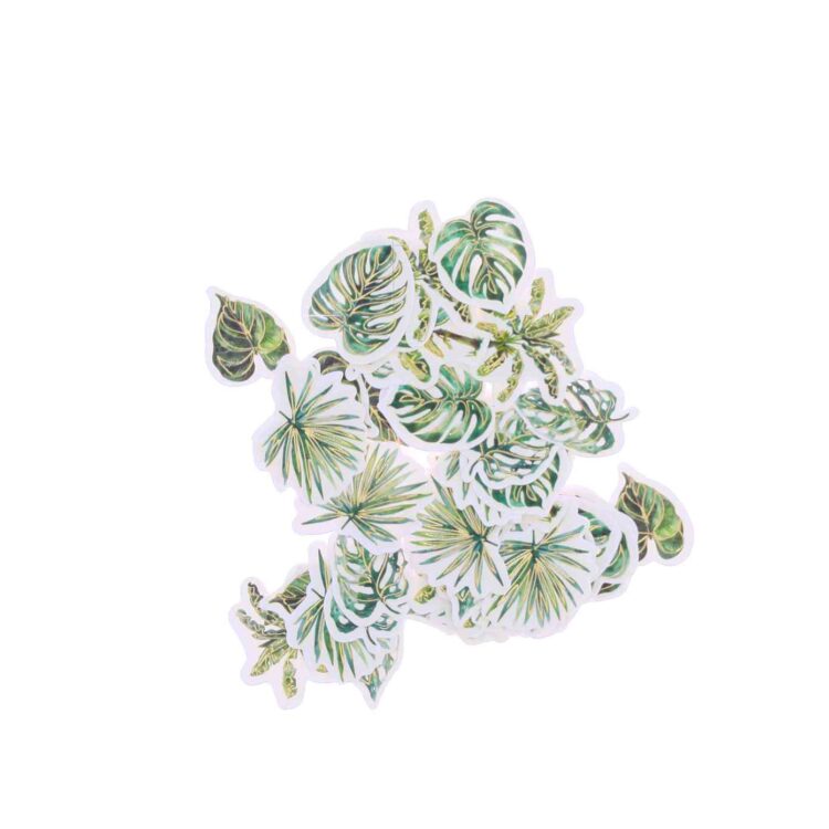 Beauty Home 100 κομφετί Coco Palm σε κρεμ