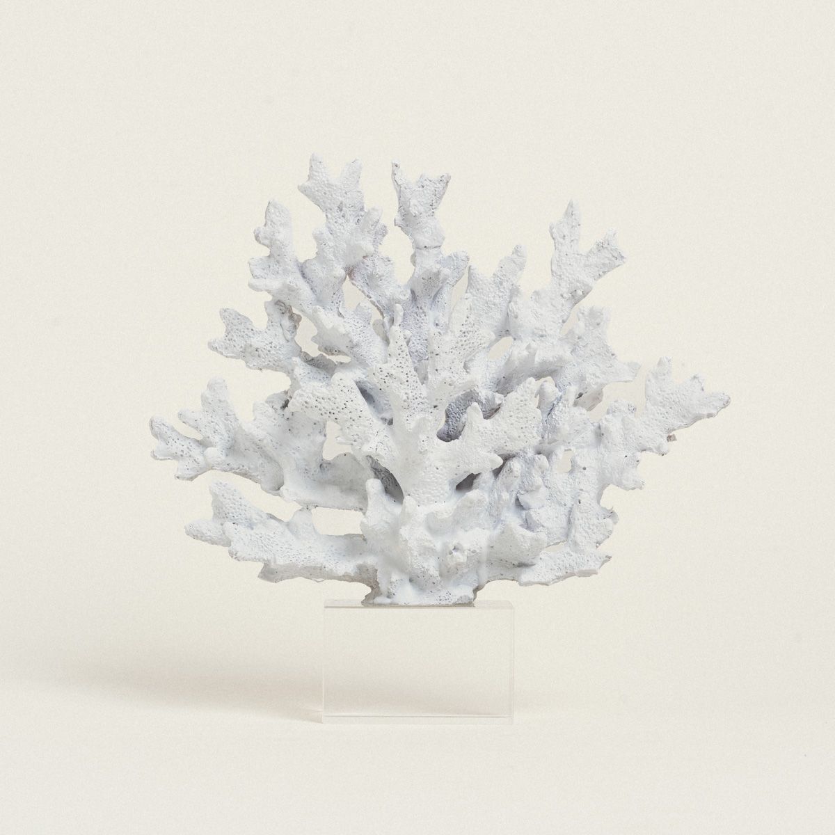 Beauty Home ΚΟΡΑΛΙ ΛΕΥΚΟ ΜΕ ΒΑΣΗ PLEXI GLASS 24 x 24 cm - Image 2