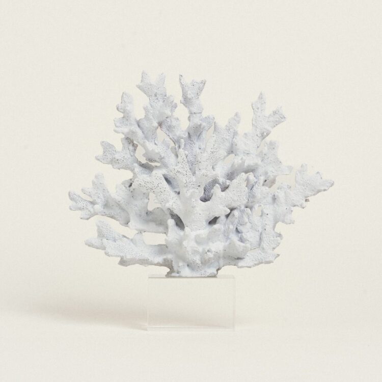 Beauty Home ΚΟΡΑΛΙ ΛΕΥΚΟ ΜΕ ΒΑΣΗ PLEXI GLASS 24 x 24 cm